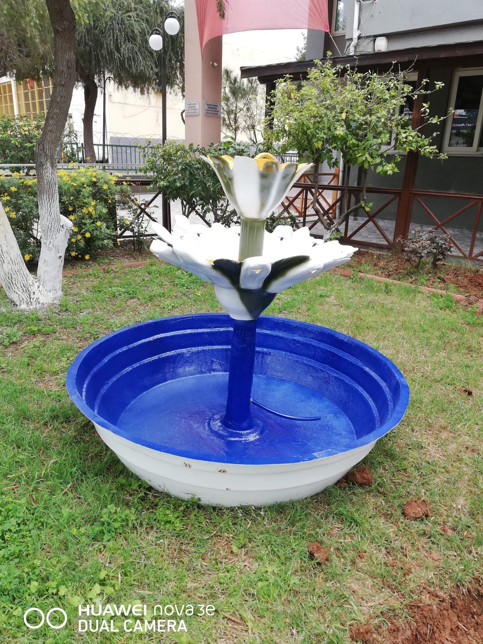 WhatsApp Image 2026-03-13 at 17.34.27